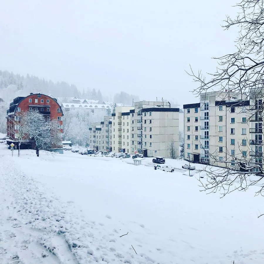 Bedrichov 101 Apartment Spindleruv Mlyn
